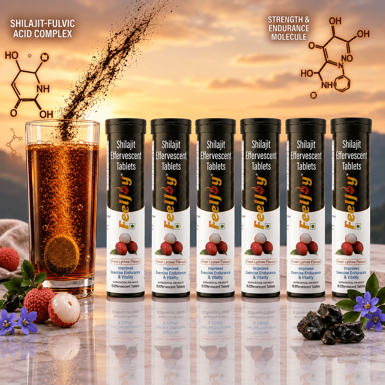 6 pcs FeelJoy Shilajit Effervescent (6 PC Combo Pack) - Image 1