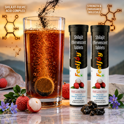 FeelJoy Shilajit Effervescen (2 PC Combo Pack)